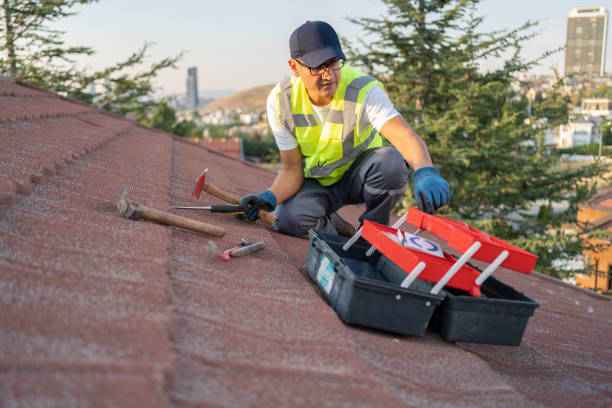 Best Brick Veneer Siding  in Kualapuu, HI